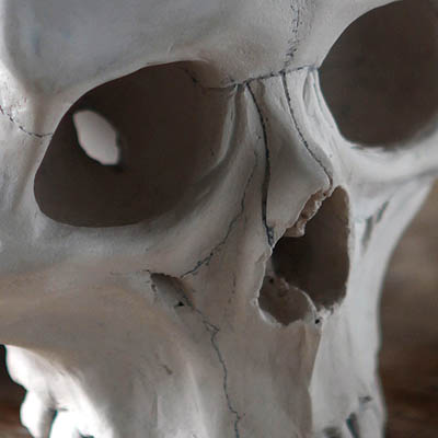 <b>Skull</b><br>traditional clay<br>Skull sculped in traditional clay 