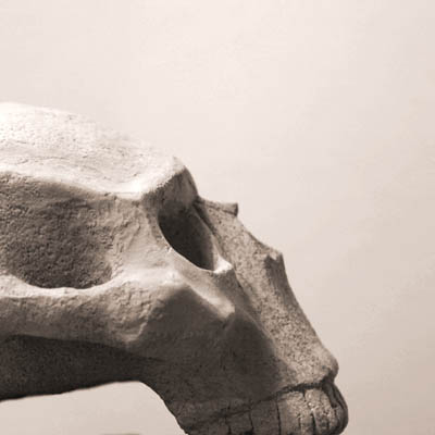 <b>The Geometric Skull</b><br>Profile, still in progress.