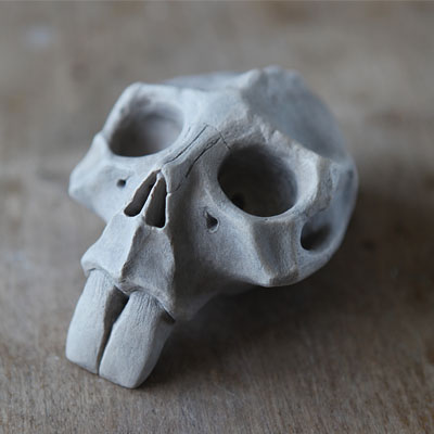 <b>Fantasy Beaver Skull</b><br>traditional clay<br>Fantasy Beaver Skull in traditional clay